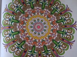 whatsapp bild 2025-04-08 um 10.55.07_1b2584a9